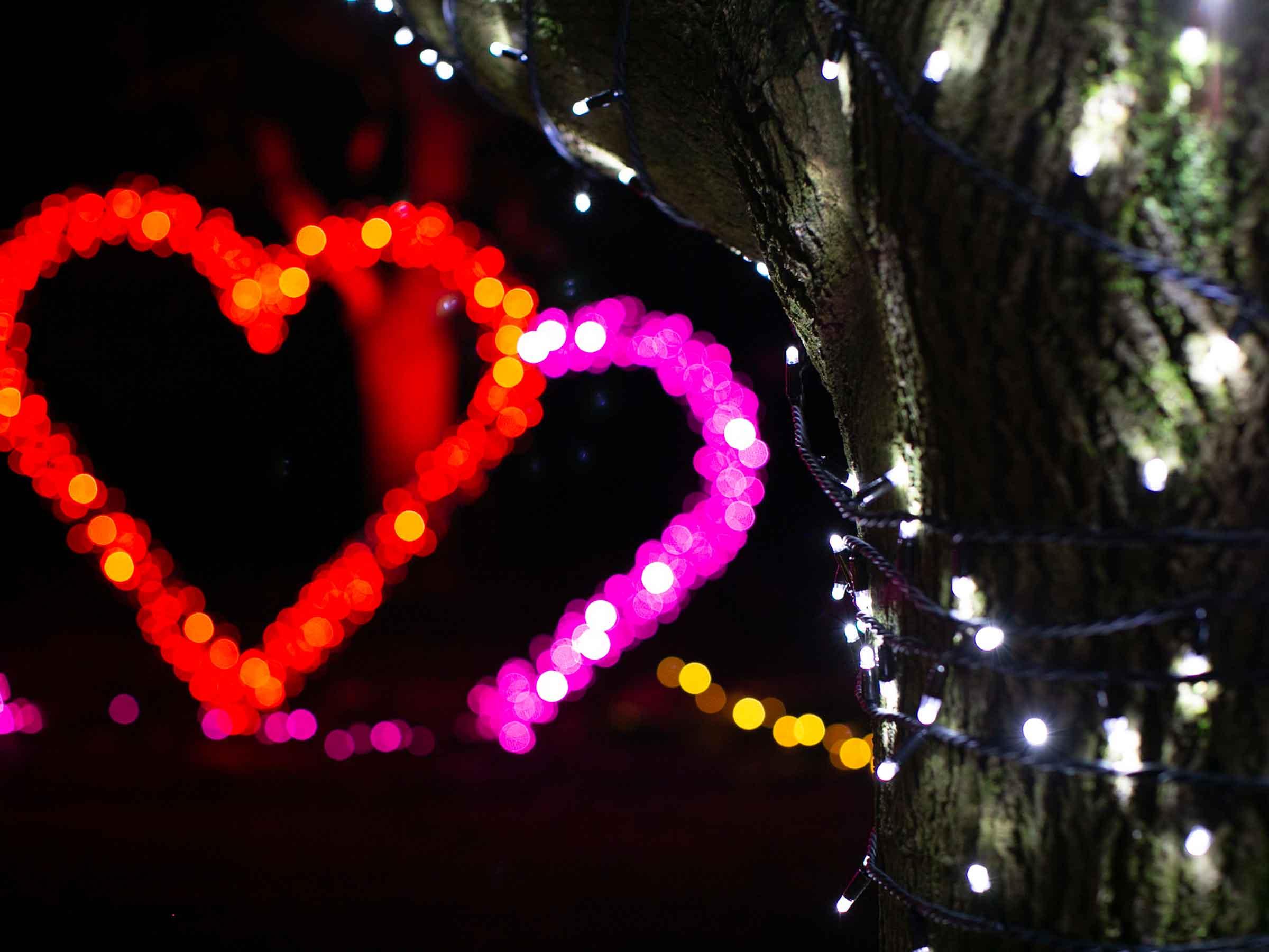 An immersive Christmas light trail winding through a park at night